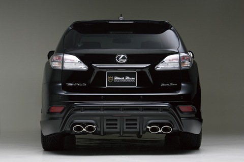 Lexus-RX-Wald-Black-Bison-5