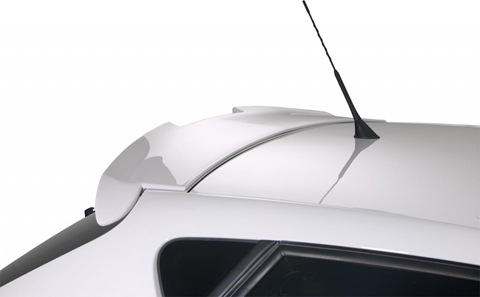 RDX Racedesign body styling for Seat Ibiza 6J 5