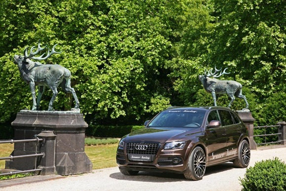 Audi Q5 by Senner Tuning 8